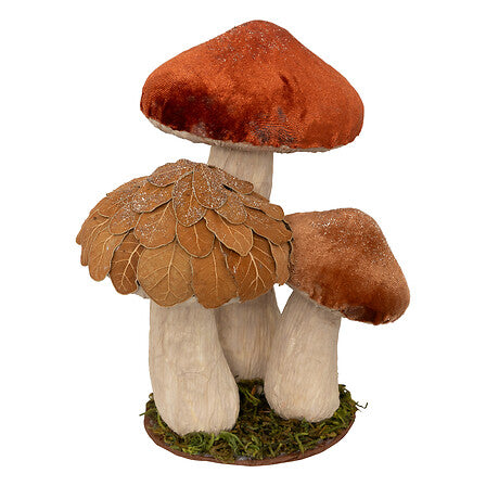 Trio de champignons en velours