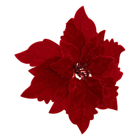Poinsettia en Velours Rouge