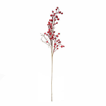 Branches baies rouges