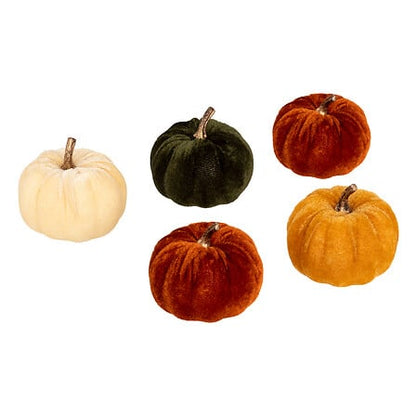 Lot de 5 citrouilles en velours