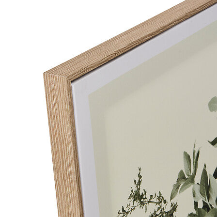 Toile Cecilia