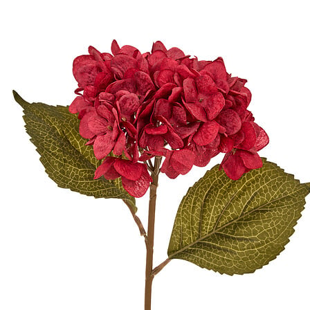 Tige hortensia artificielle rouge bordeaux H.62 cm avec feuilles vertes décoration florale intérieur