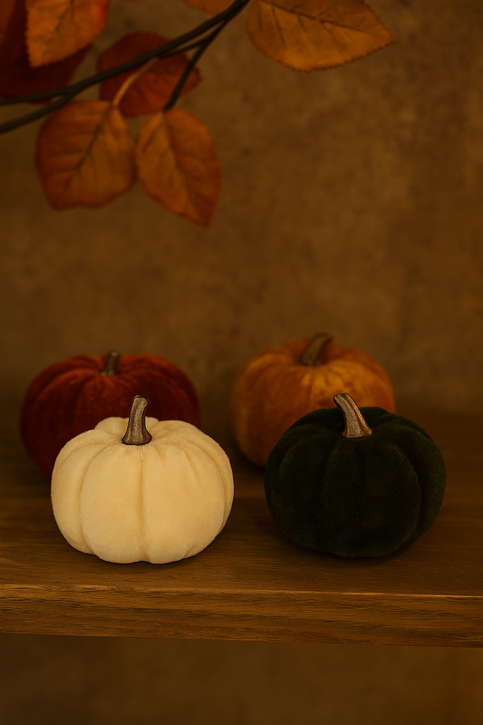 Lot de 5 citrouilles en velours