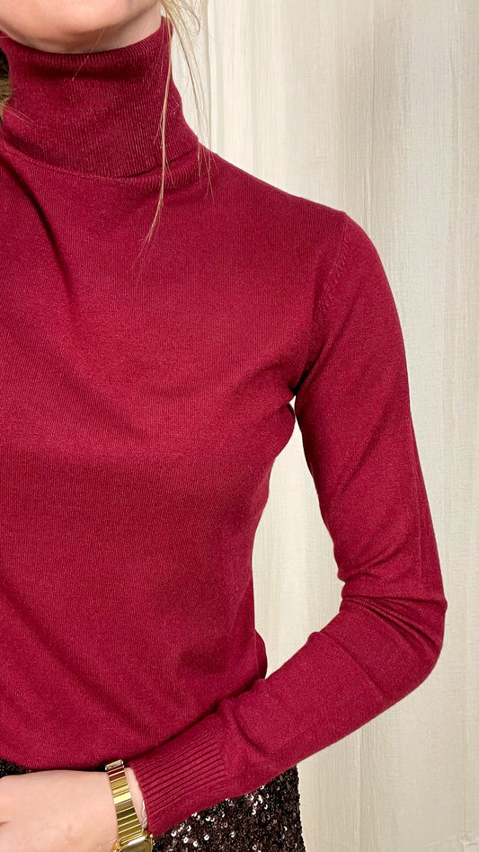 Pull Basique - Pull col roulé