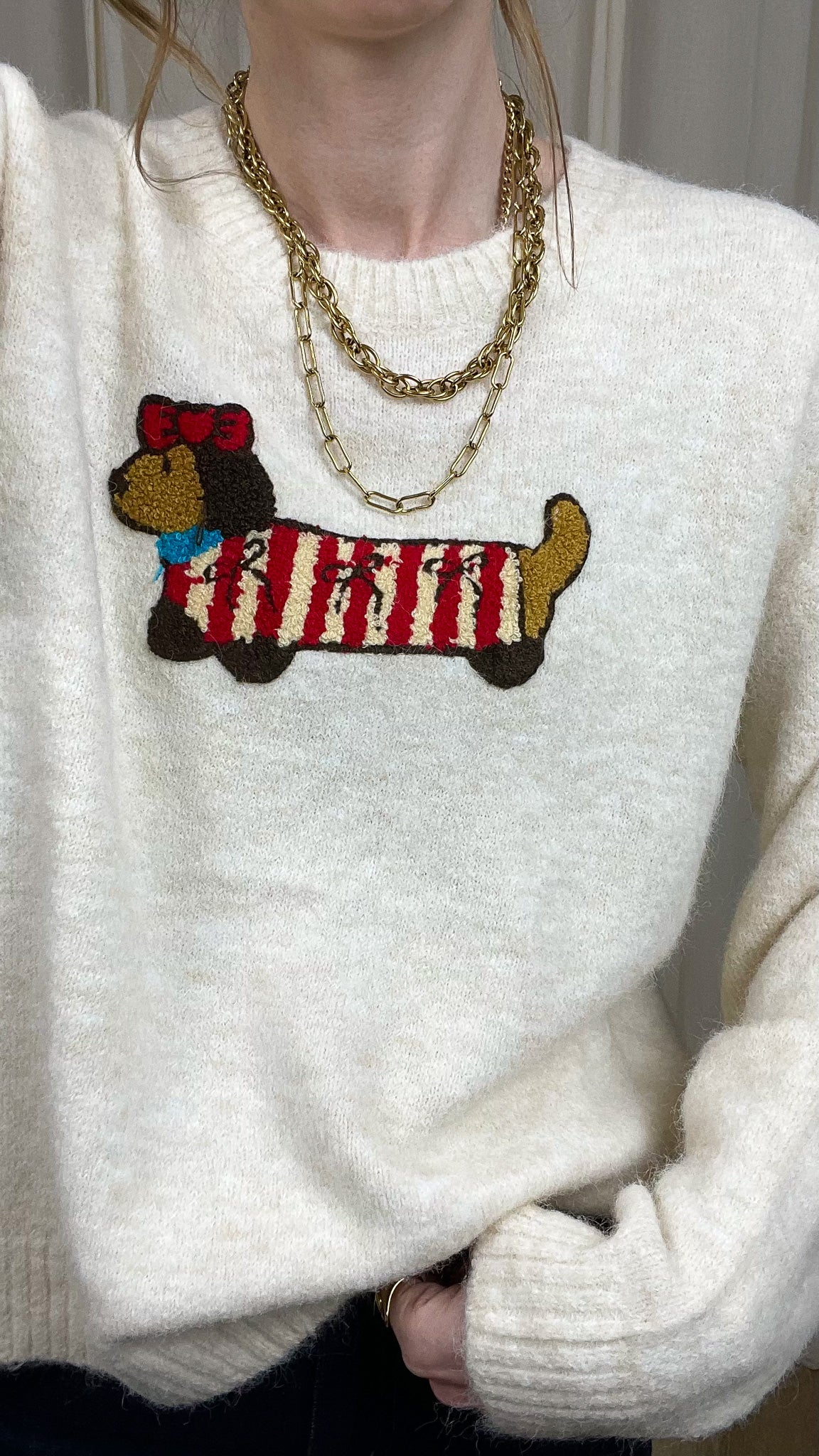 Pull Teckel – Pull écru doux motif chien