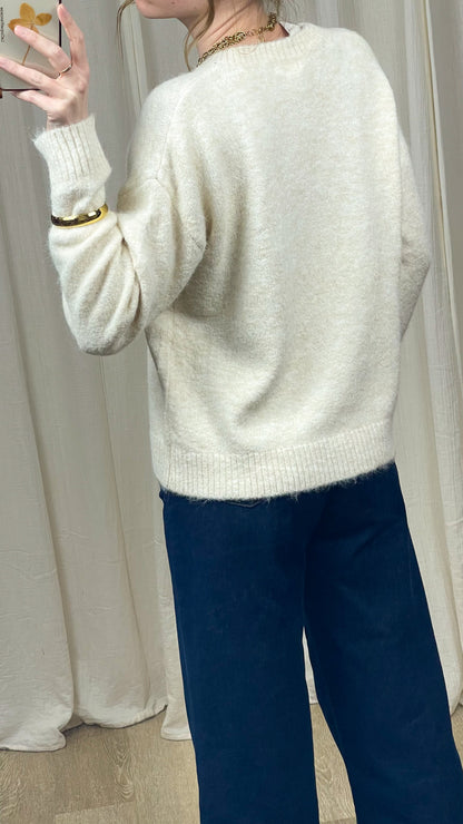 Pull Teckel – Pull écru doux motif chien