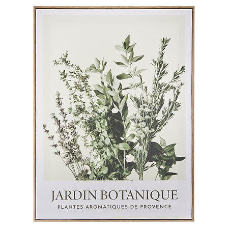 Toile Cecilia