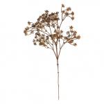 Tige d'achillée séchée couleur bronze doré décoration florale naturelle bohème pour intérieur